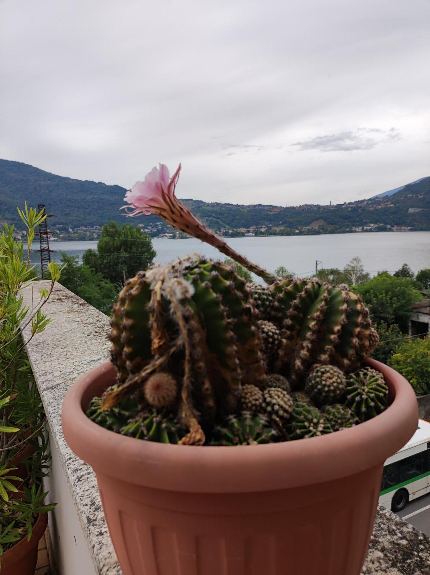 Terrazzo Sul Lago Lecco Luaran gambar
